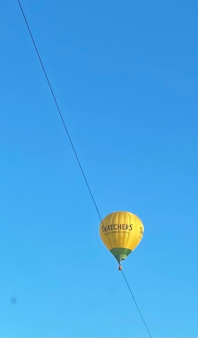 Thatchers Tightrope