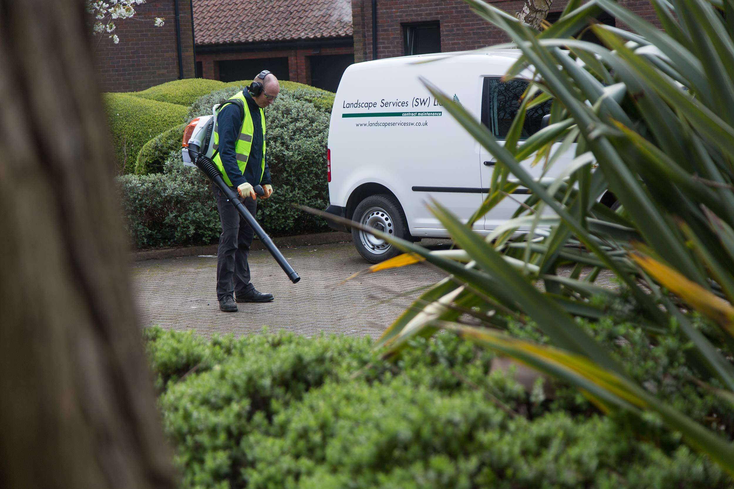 Landscape Leaf Blowing2